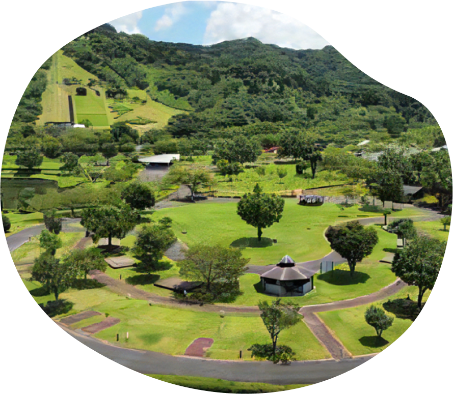 キャンプ場全景