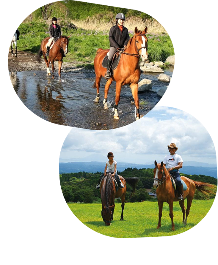 ホーストレッキング