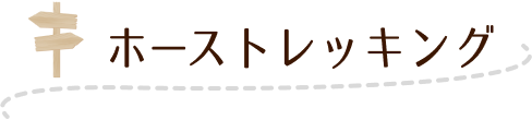 乗馬